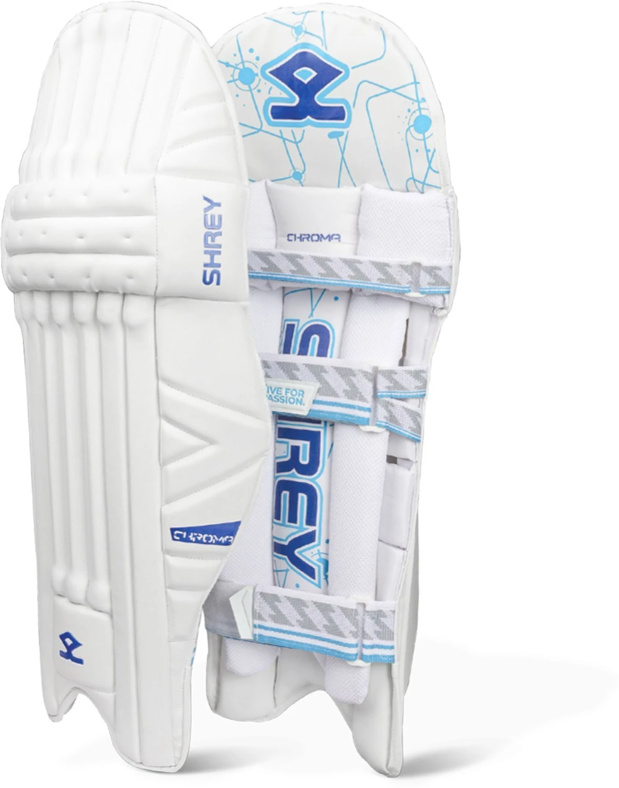Batting Pads (Leg Guards) - Image 2